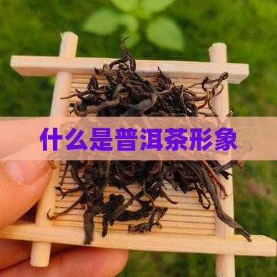 什么是普洱茶品牌形象