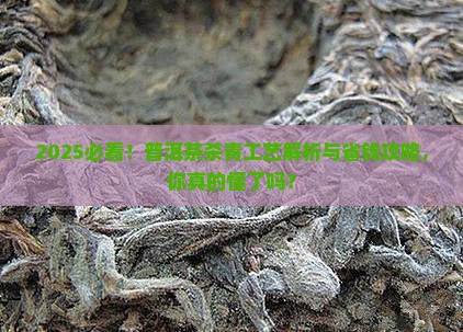 懂茶帝普洱茶杀青工艺
