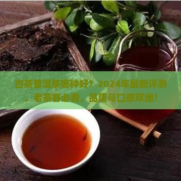 古茶普洱茶哪种好