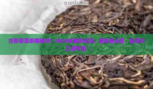 古茶普洱茶哪种好