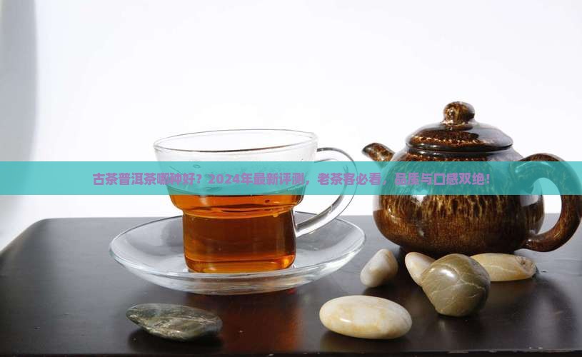 古茶普洱茶哪种好