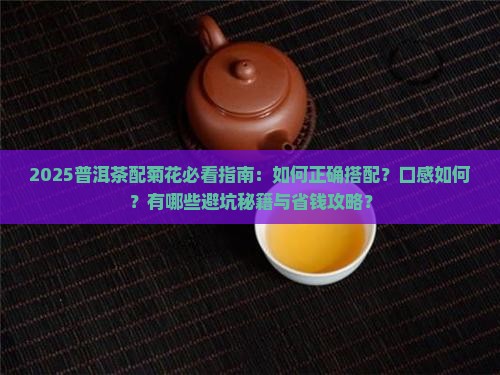 普洱茶可以和菊花起泡吗