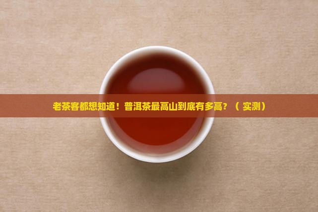 普洱茶最高山多少米