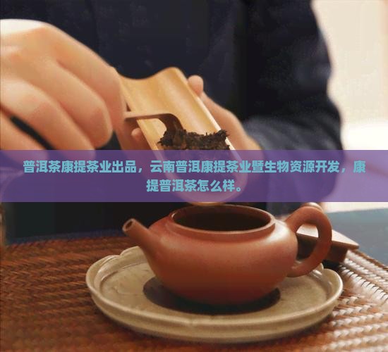 普洱茶康提茶业出品