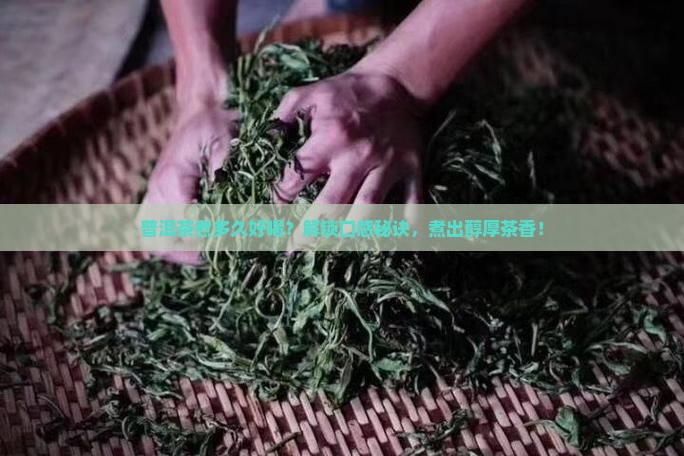 普洱茶煮多久好喝