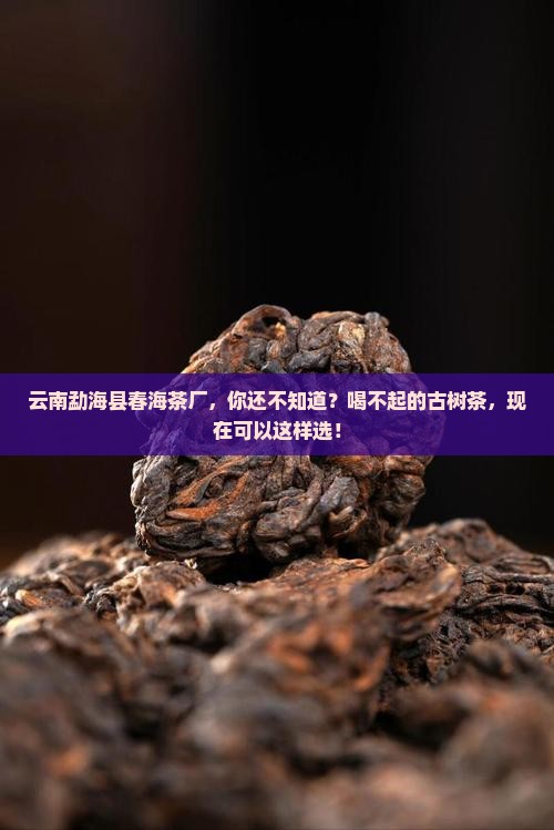 云南勐海县春海茶厂