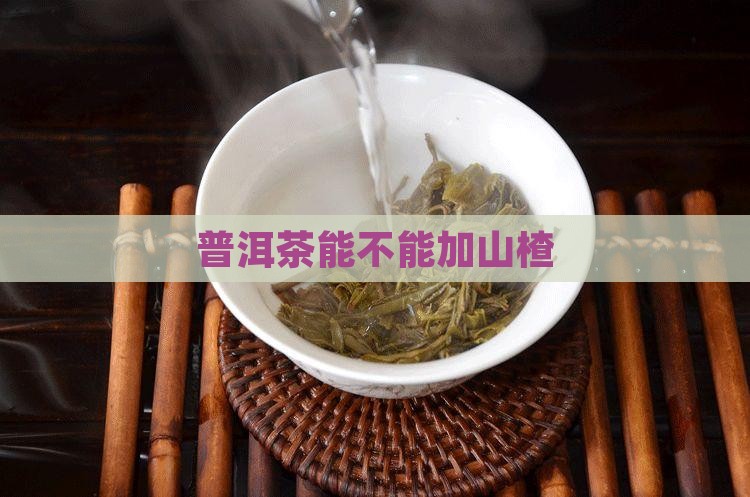 普洱茶能不能加山楂