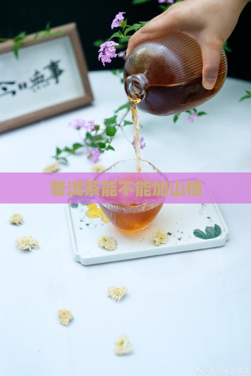 普洱茶能不能加山楂