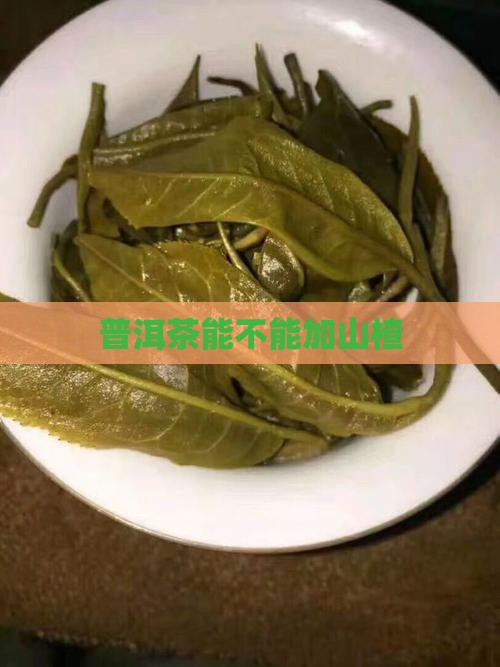 普洱茶能不能加山楂