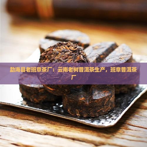 勐海老班章茶树厂
