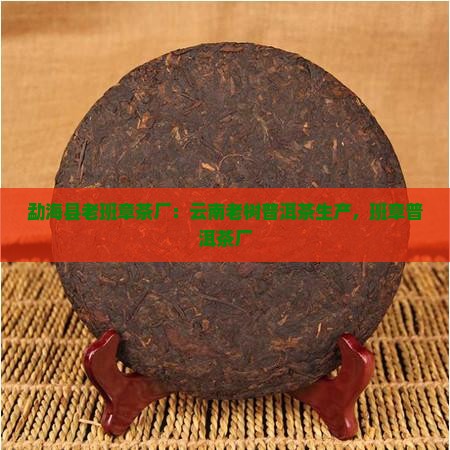 勐海老班章茶树厂