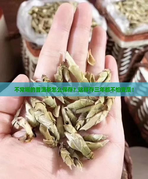 不常喝的普洱茶怎么保存