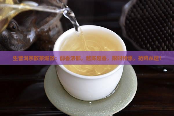 生普洱茶散茶爆款