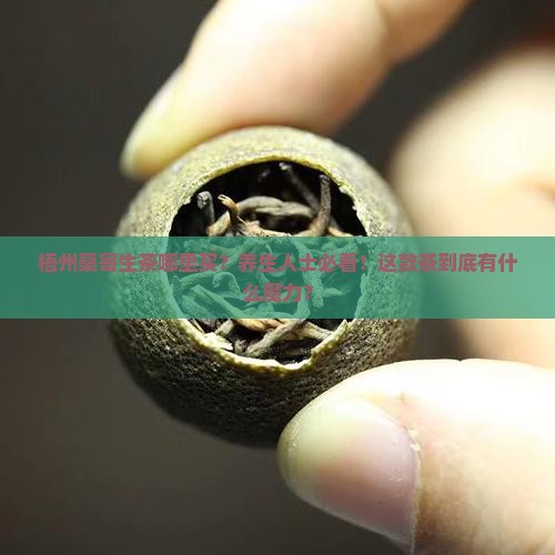 梧州桑寄生茶哪里买