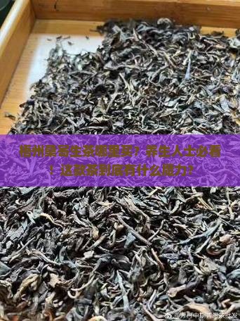 梧州桑寄生茶哪里买