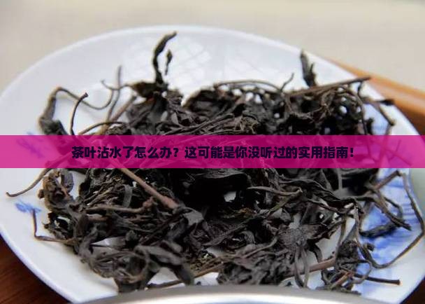 茶叶沾水了怎么办