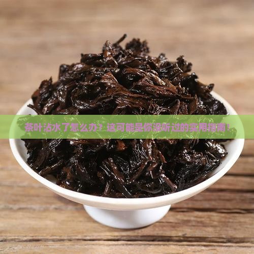 茶叶沾水了怎么办