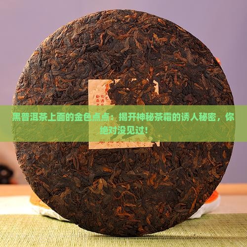 黑普洱茶上面的金色点点