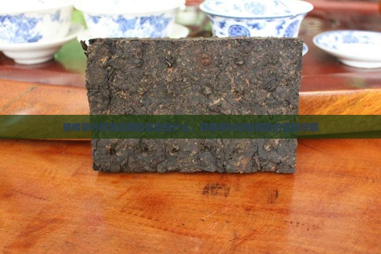 郑棉茶叶和普洱茶的区别
