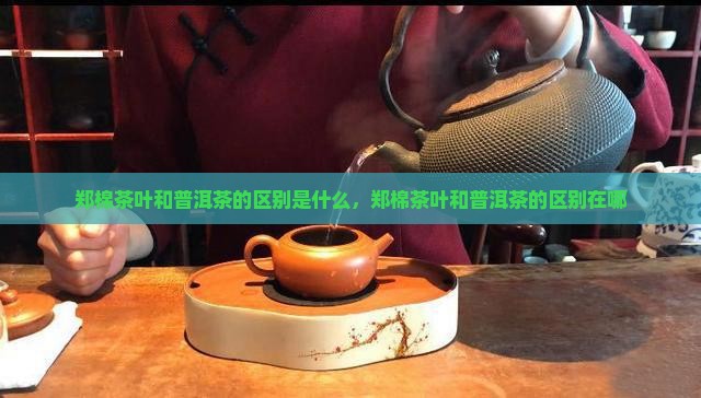 郑棉茶叶和普洱茶的区别