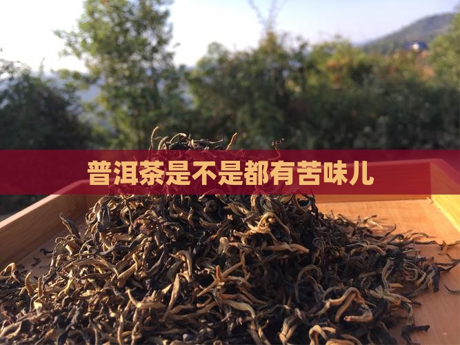 普洱茶是不是都有苦味儿