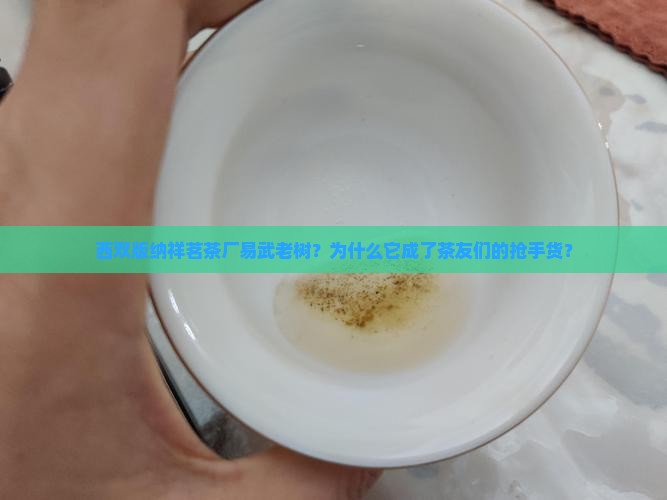 西双版纳祥茗茶厂易武老树