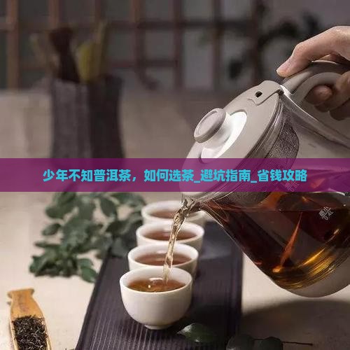 少年不知普洱茶