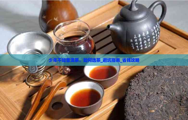 少年不知普洱茶