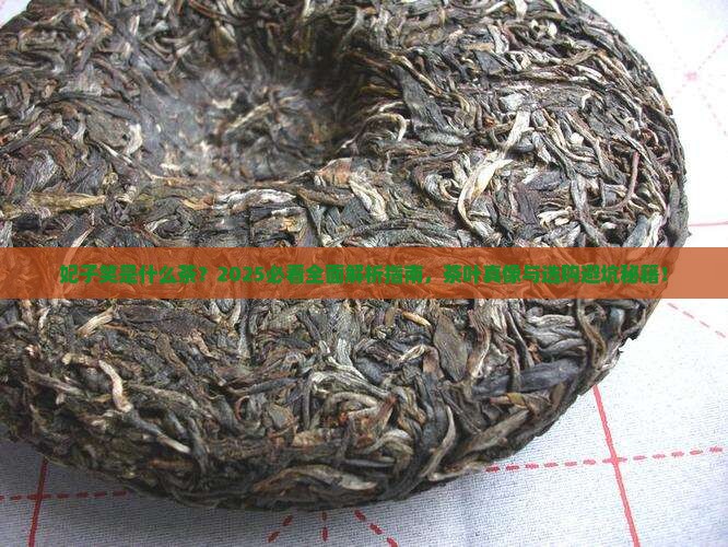 妃子笑是什么茶