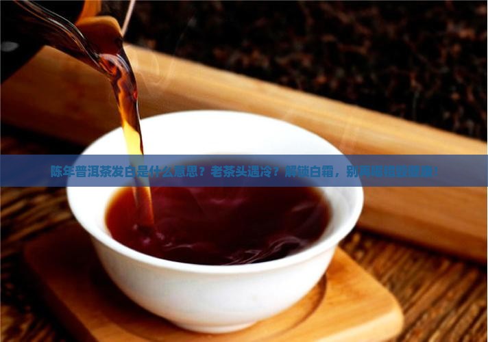 陈年普洱茶发白是什么意思