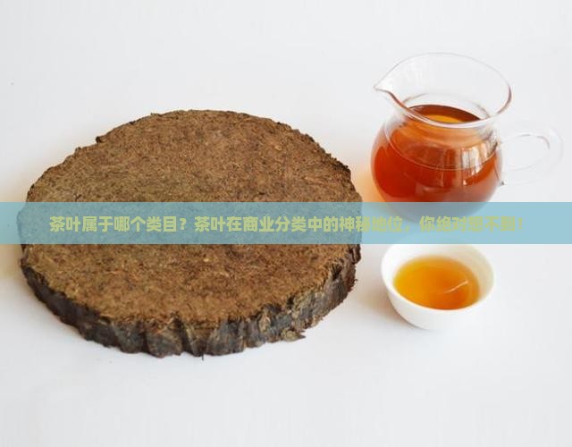茶叶属于哪个类目