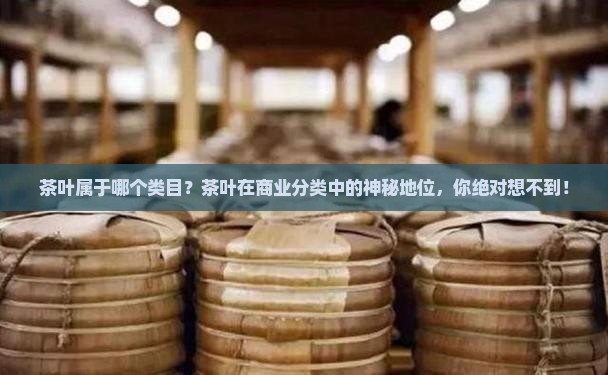茶叶属于哪个类目