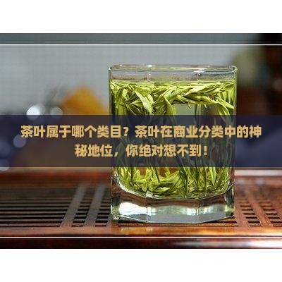 茶叶属于哪个类目