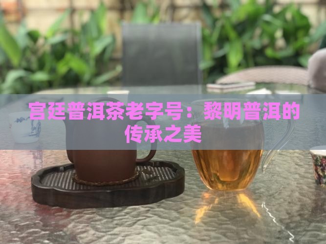 宫廷普洱茶老字号