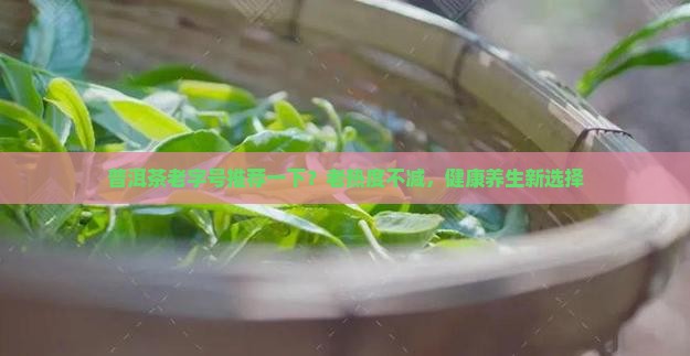 普洱茶老字号推荐一下？老热度不减，健康养生新选择