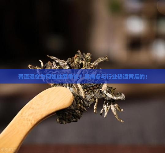 普洱湿仓为何如此受争议？其痛点与行业热词背后的！
