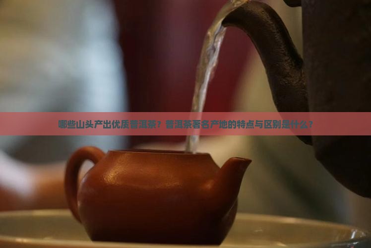 哪些山头产出优质普洱茶？普洱茶著名产地的特点与区别是什么？