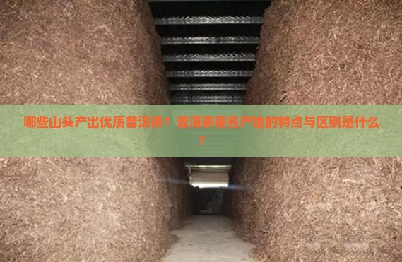 哪些山头产出优质普洱茶？普洱茶著名产地的特点与区别是什么？