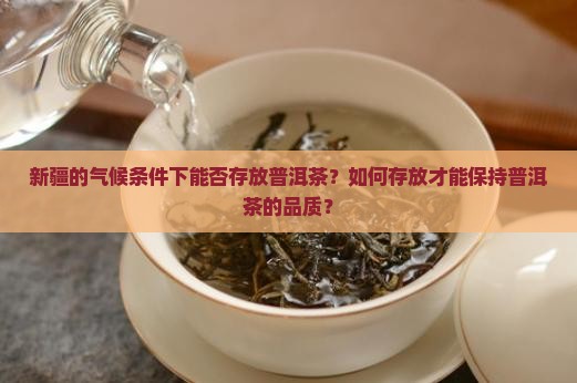 新疆的气候条件下能否存放普洱茶？如何存放才能保持普洱茶的品质？