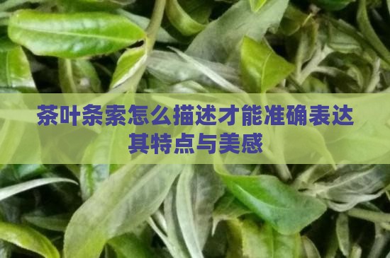茶叶条索怎么描述才能准确表达其特点与美感