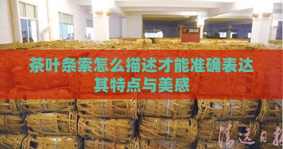 茶叶条索怎么描述才能准确表达其特点与美感