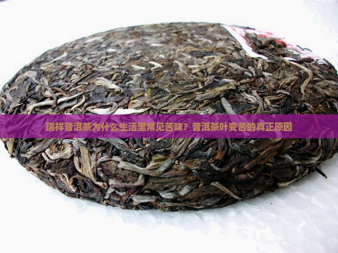 瑞祥普洱茶为什么生活里常见苦味？普洱茶叶变苦的真正原因