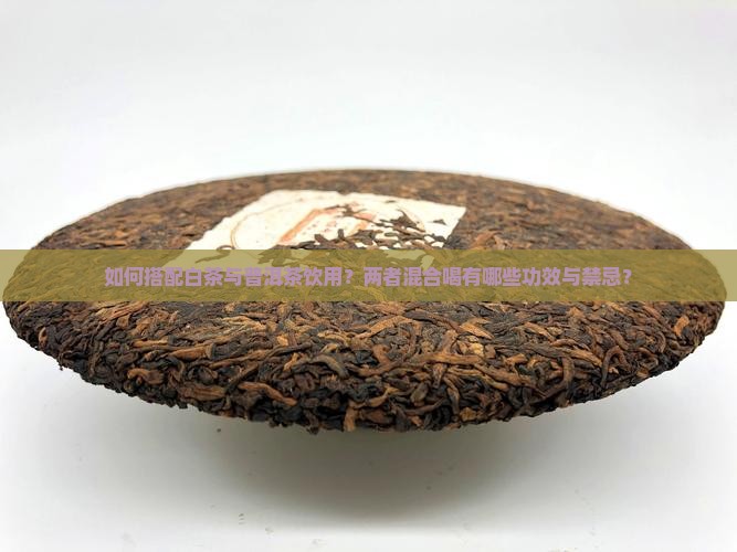 如何搭配白茶与普洱茶饮用？两者混合喝有哪些功效与禁忌？