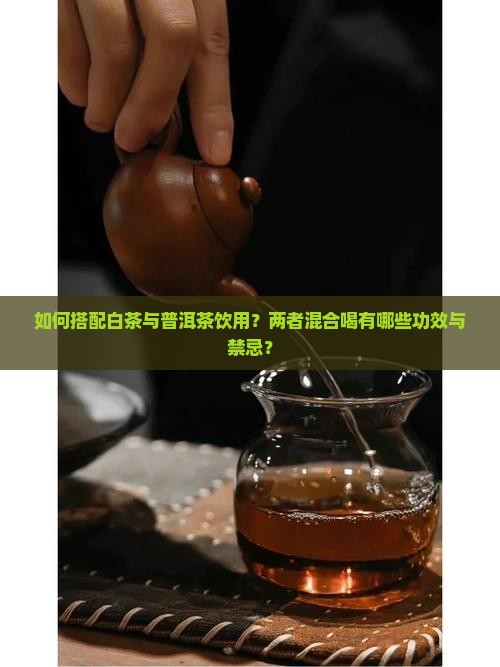 如何搭配白茶与普洱茶饮用？两者混合喝有哪些功效与禁忌？