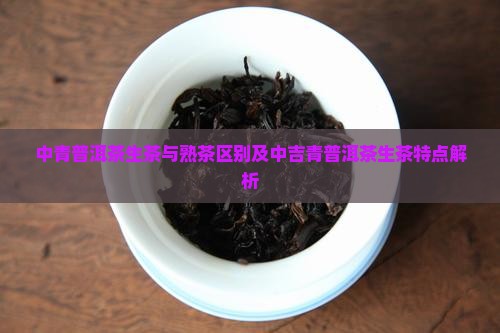 中青普洱茶生茶与熟茶区别及中吉青普洱茶生茶特点解析