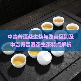 中青普洱茶生茶与熟茶区别及中吉青普洱茶生茶特点解析