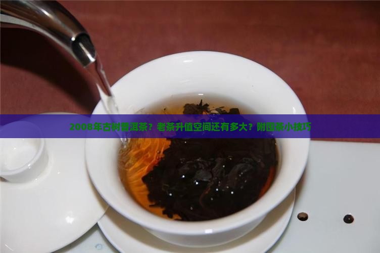 2008年古树普洱茶？老茶升值空间还有多大？附囤茶小技巧