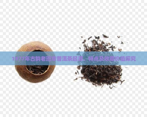 1977年古韵老班章普洱茶起源、特点及收藏价值探究