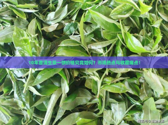 10年普洱生茶一饼价格究竟如何？市场热点与收藏痛点！