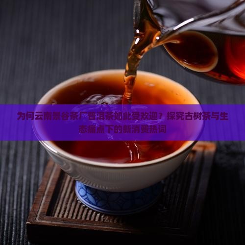 为何云南景谷茶厂普洱茶如此受欢迎？探究古树茶与生态痛点下的新消费热词